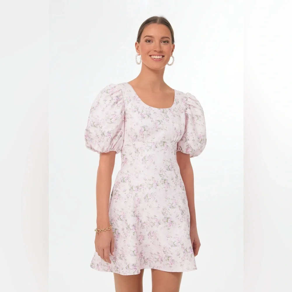 NWT Tuckernuck HYACINTH HOUSE Pink Jacquard Empire Ella Mini Dress Medium - Picture 3 of 9